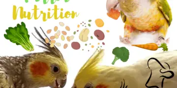 Parrot Nutrition