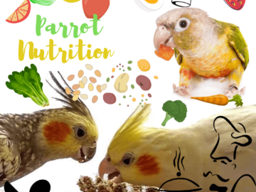 Parrot Nutrition