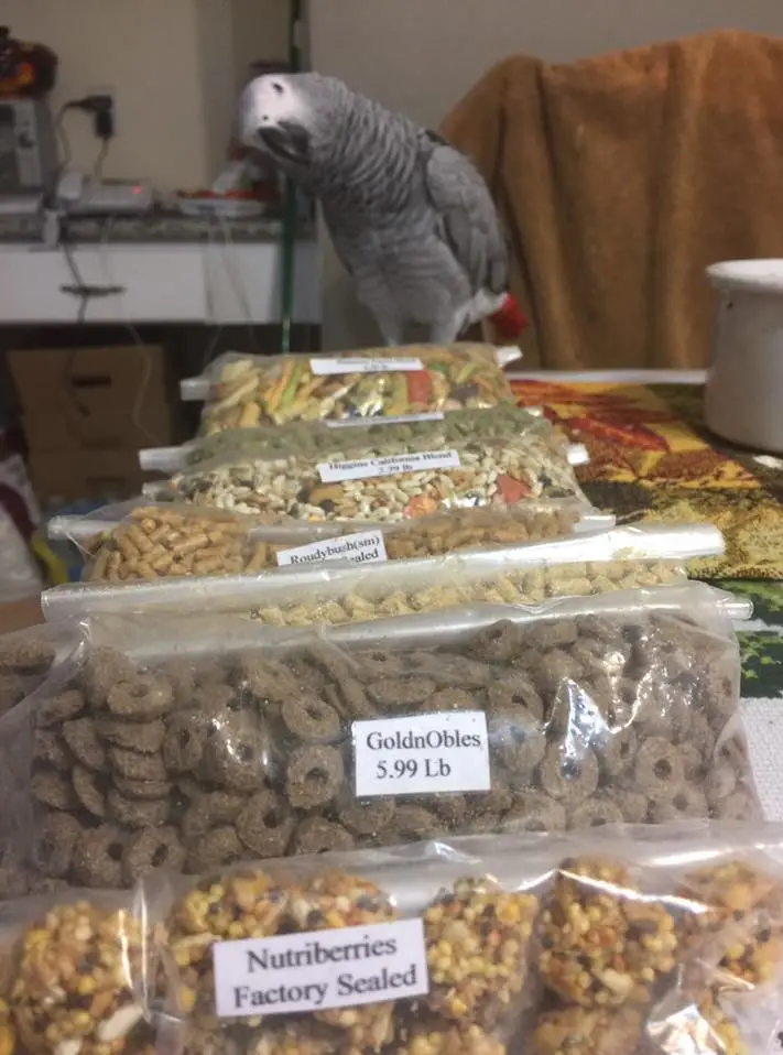 Lists of parrot food
