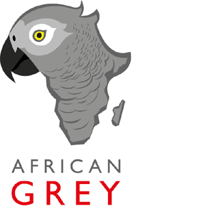 African Grey
