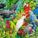 Where To Buy A Parrot african grey