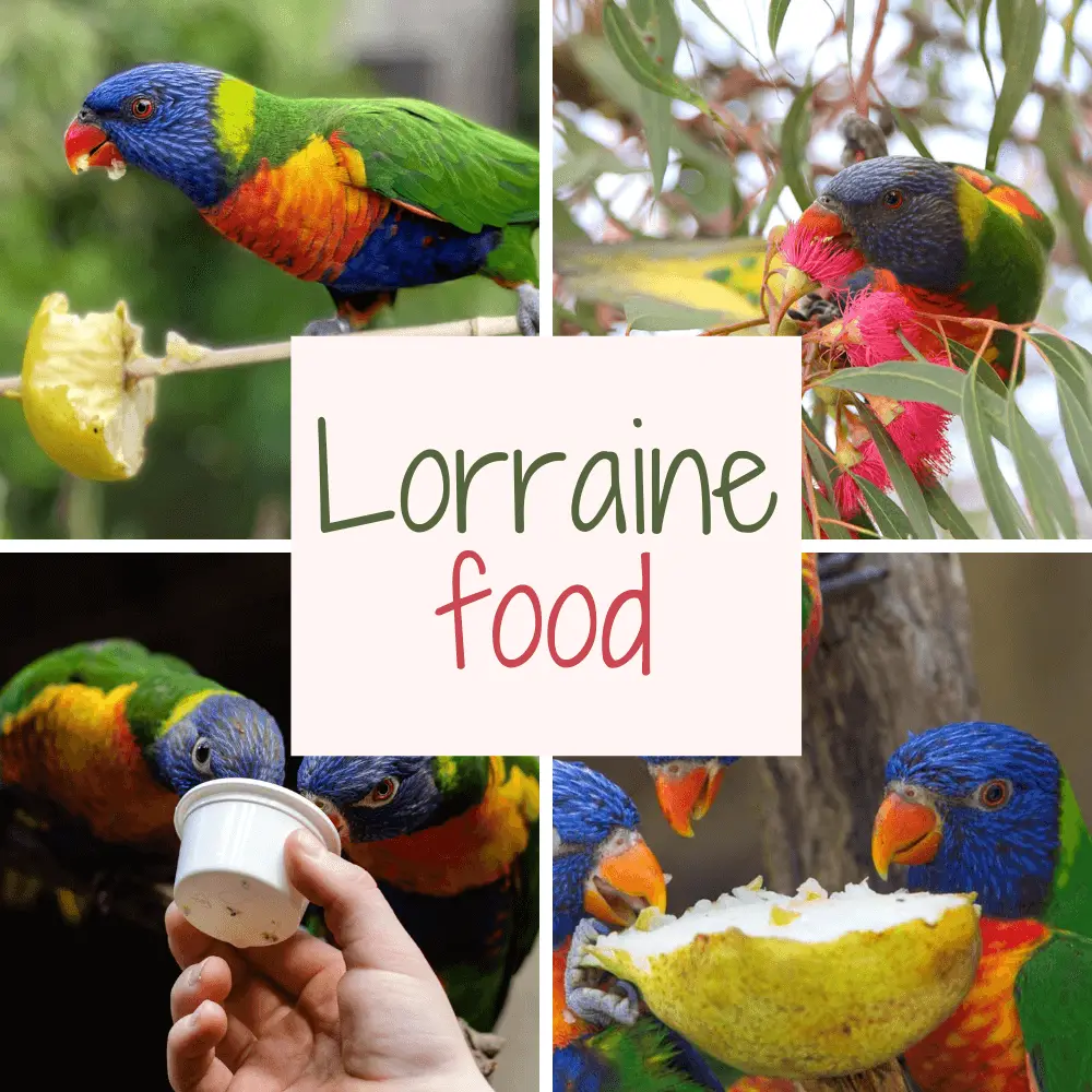 lorraine food