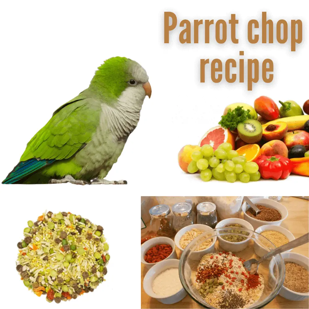 parrot chop recipe