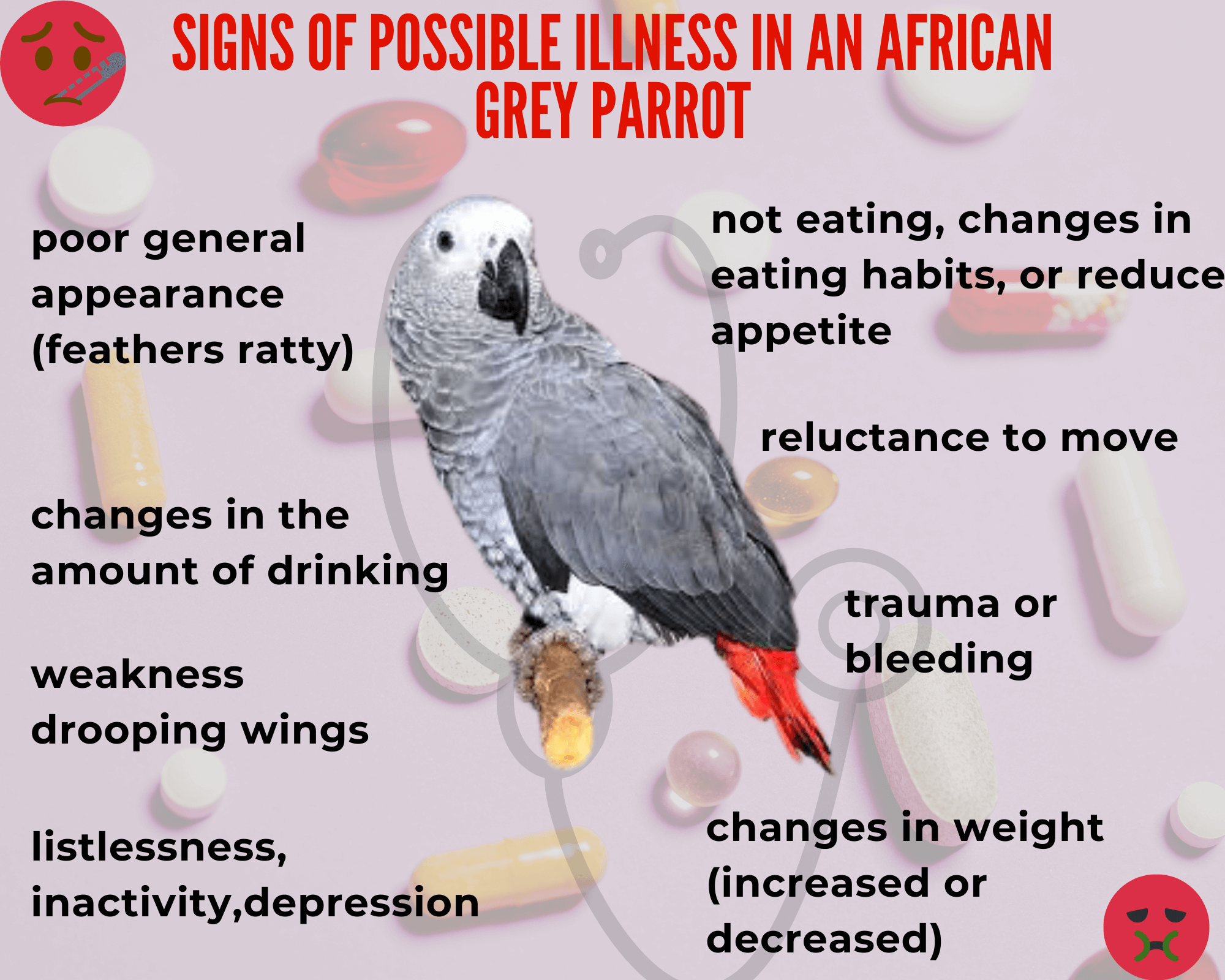 parrot signs