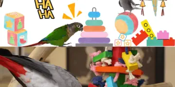 Parrot Toys