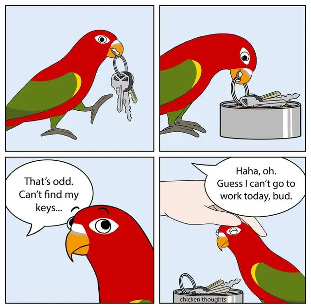 lori funny parrot