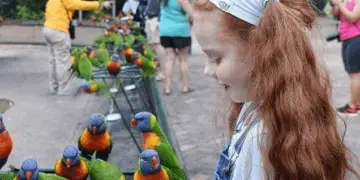 Parrot facts for kids