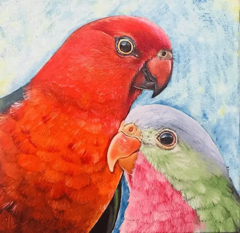 drawing parrots art