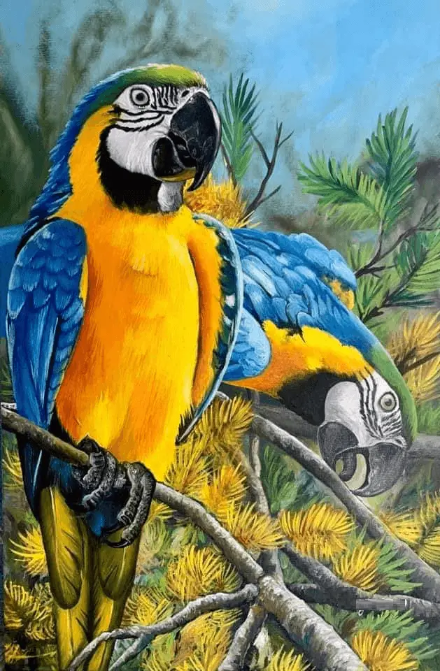 parrot art ara