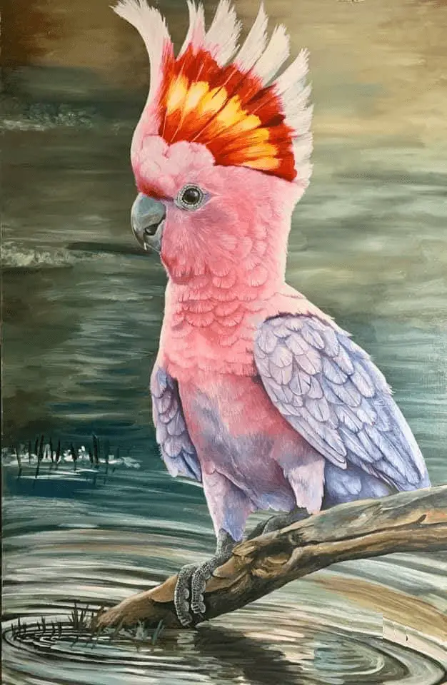 parrot drawing art pet