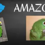where do amazon parrots live