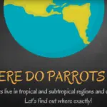 where do parrot live