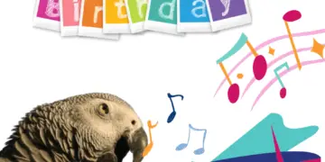 Parrot sing happy birthday