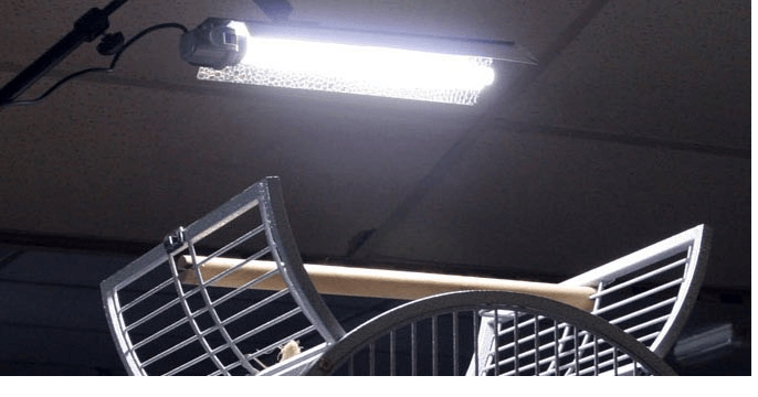 Parrots cage light