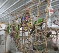 bird home decorating ideas