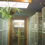 parrot room