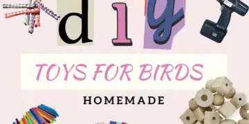 Diy toys for birds