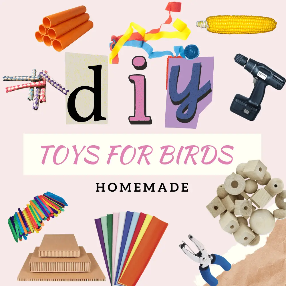 Diy toys for birds