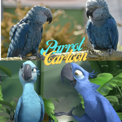 Parrot Cartoon - Collection of parrot cartoons and comics.| Animated Parrot