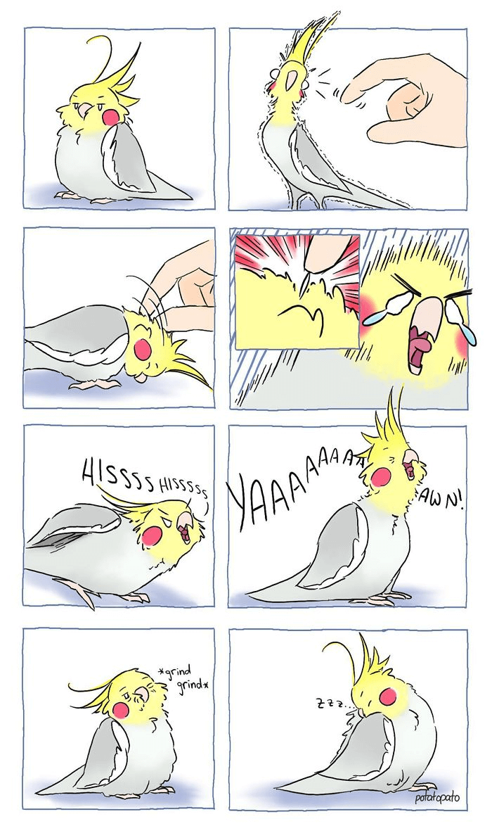 parrot bird comics