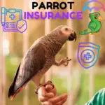 parrot insurance