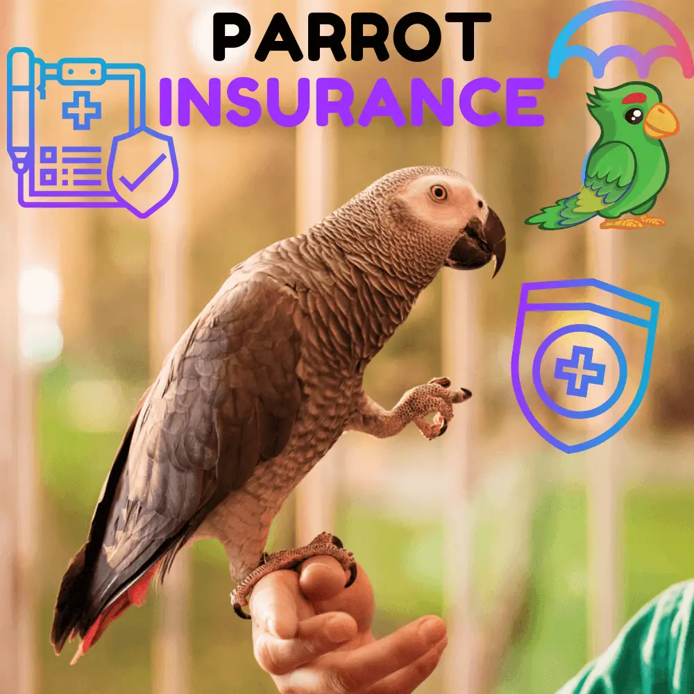 parrot insurance
