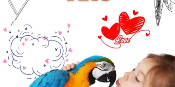 Parrots as pets