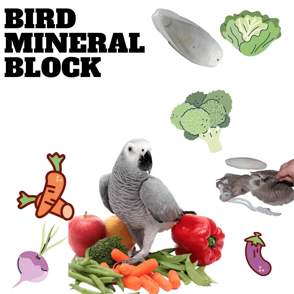 Bird mineral block