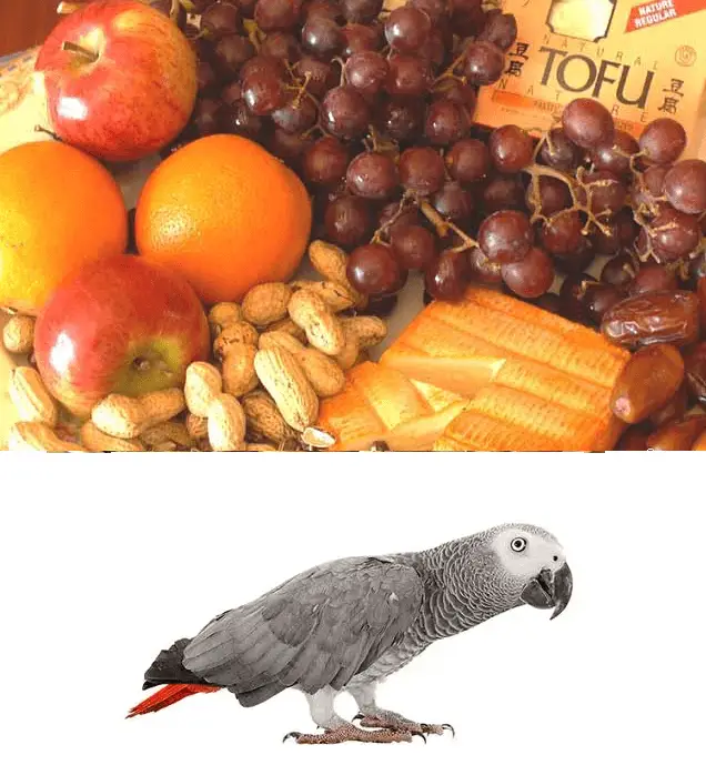 Potassium for african grey parrot