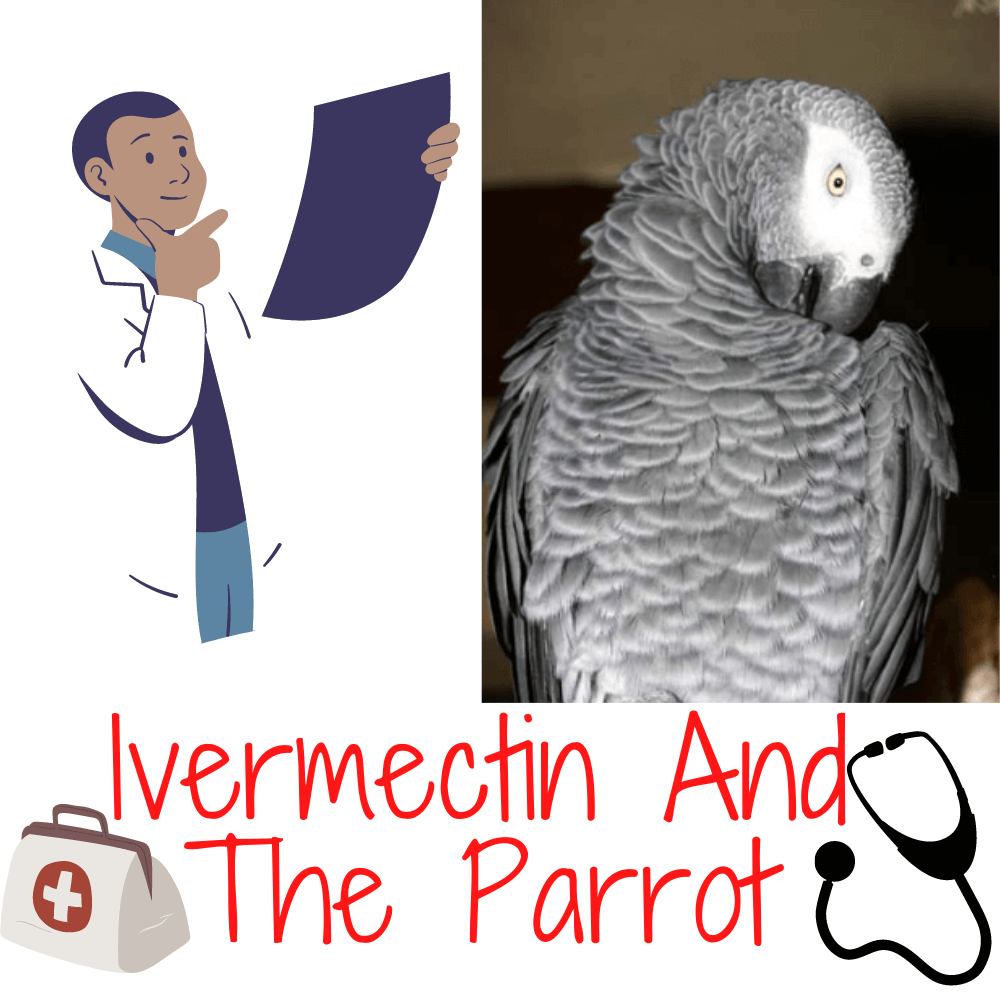 Ivermectin and the parrot