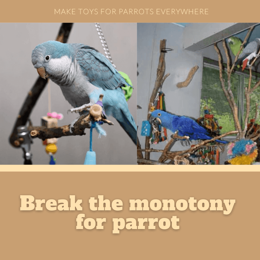 Make toys for parrots everywhere