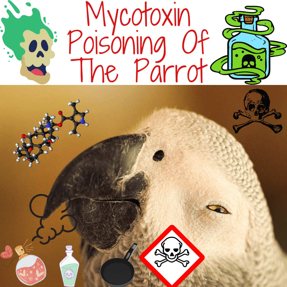 Mycotoxin poisoning of the parrot