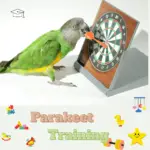 Parakeet training
