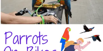 Parrots On Bikes