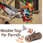 Wooden toys for parrots