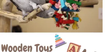 Wooden toys for parrots