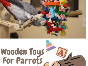 Wooden toys for parrots
