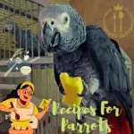 recipes for parrots