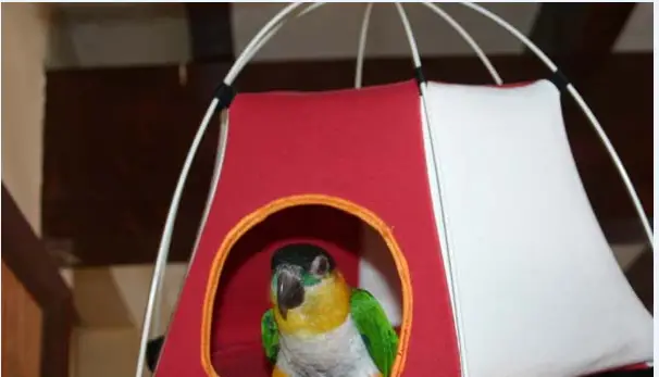 Hiding toys for parrots
