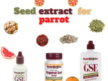Seed extract for parrot