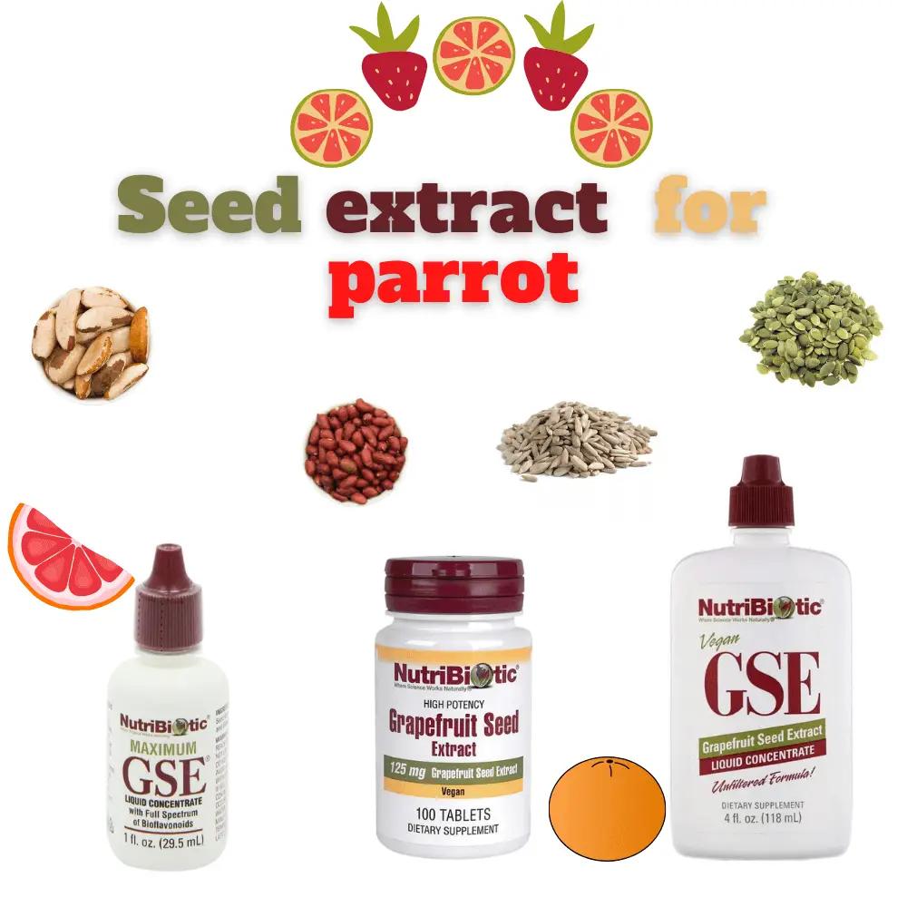 Seed extract for parrot