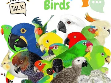 Talking birds