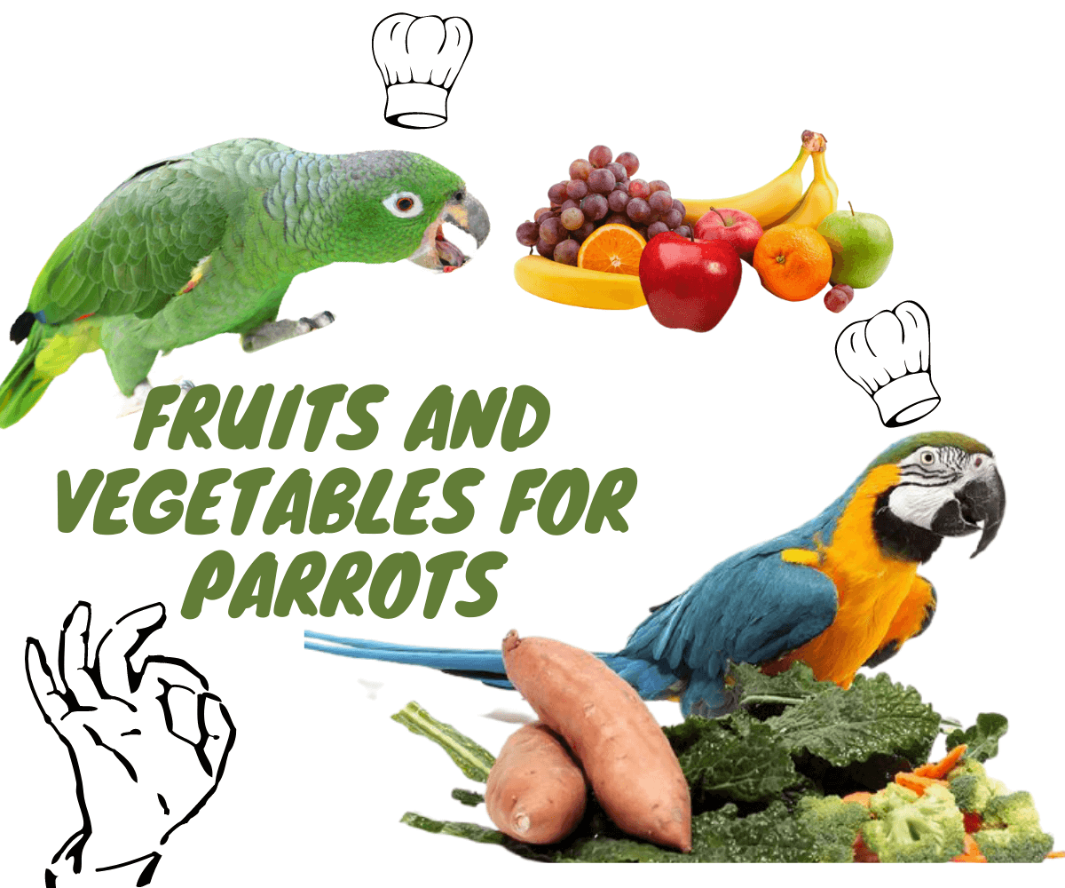 fruits and vegetables for parrots