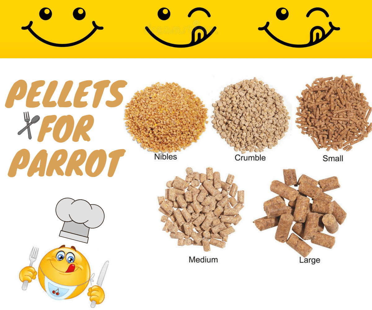 pellets for parrot