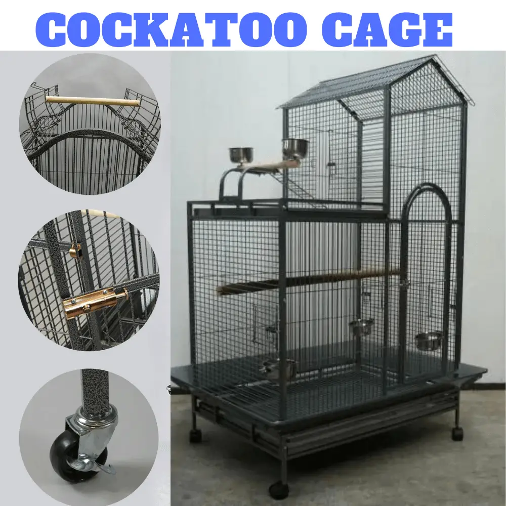 Cockatoo Cage