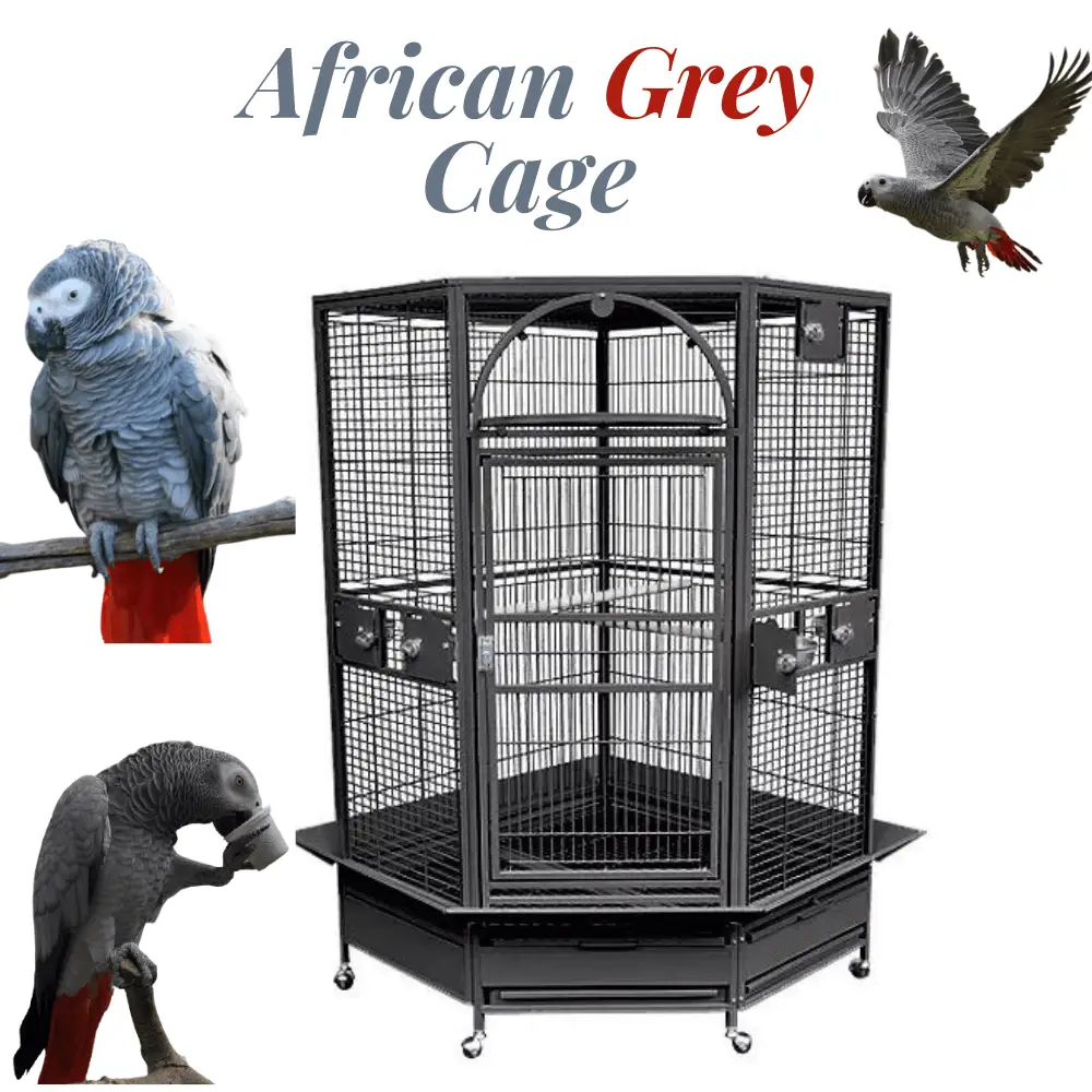 african grey cage