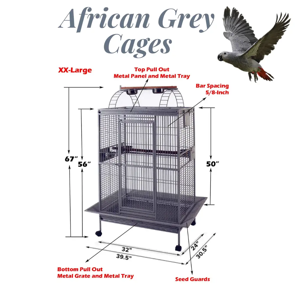 african grey cages