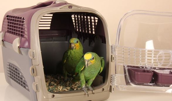 travel bird cage for parrot