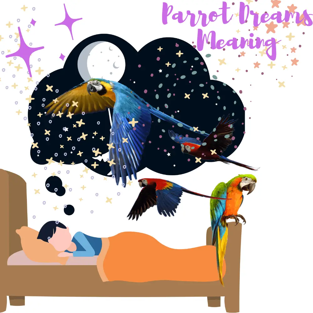 parrot dreams meaning