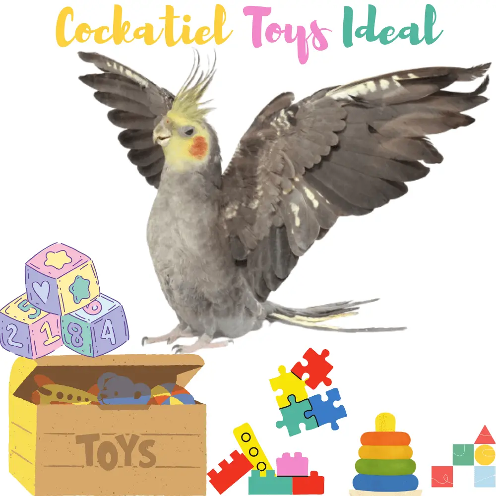 Cockatiel toys Ideal